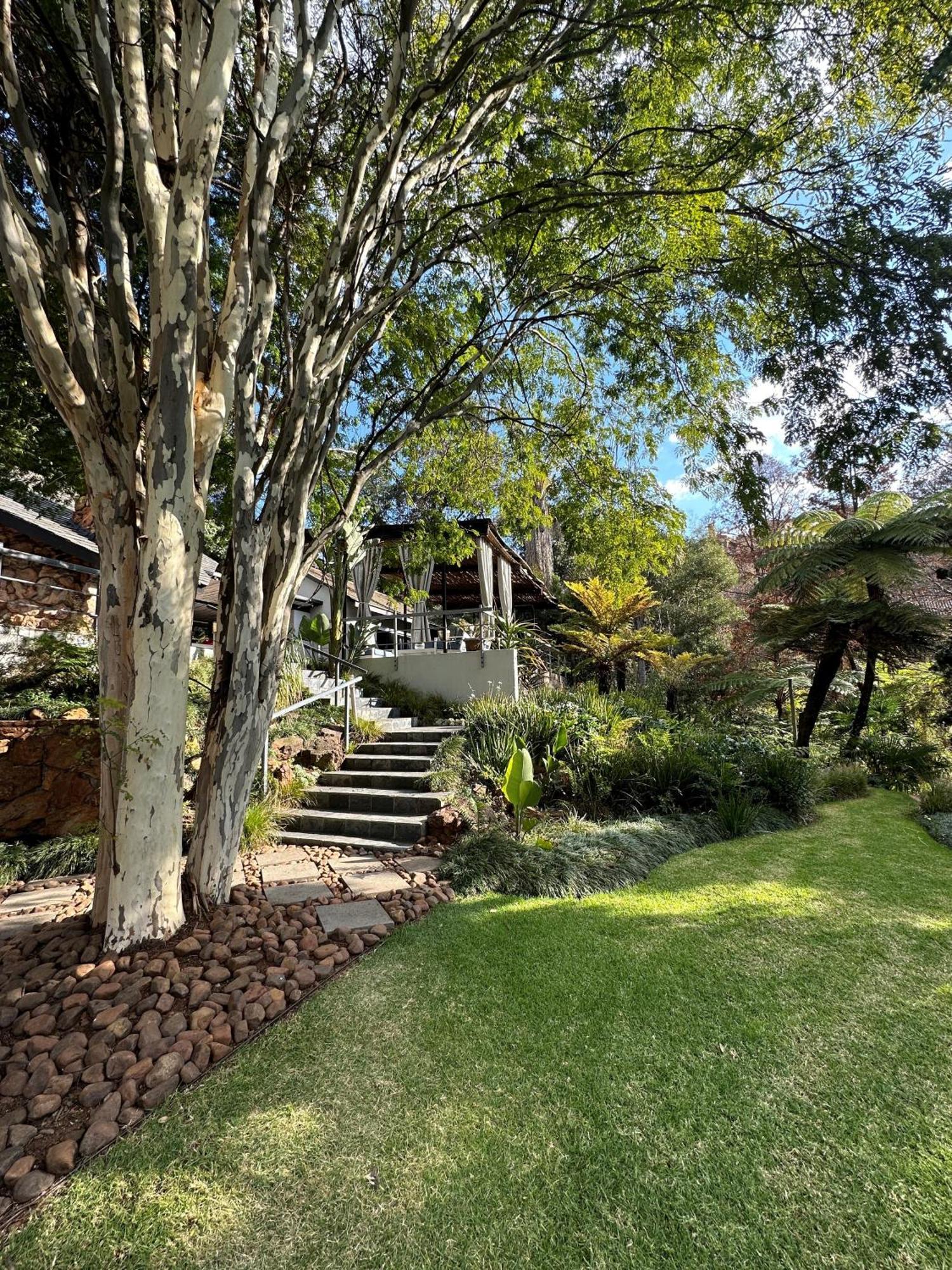Serene Place Guest House & Conference Venue Affordable Luxury With Backup Power Roodepoort Exteriör bild